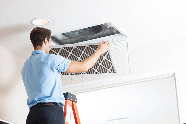 Best Air Filters and Purifiers in Weyauwega, WI